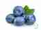 Light-Heidelbeeren 4250 ml